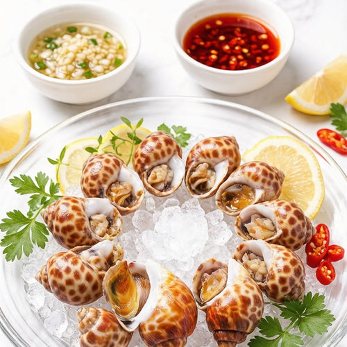 Fresh Babylon Snails